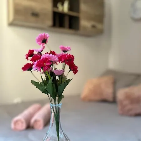 Mmrent Sparrow * غدانسك