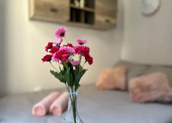 Mmrent Sparrow * Gdańsk